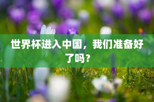 世界杯进入中国，我们准备好了吗？眉山市正发家政服务有限公司