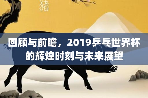 回顾与前瞻，2019乒乓世界杯的辉煌时刻与未来展望眉山市正发家政服务有限公司