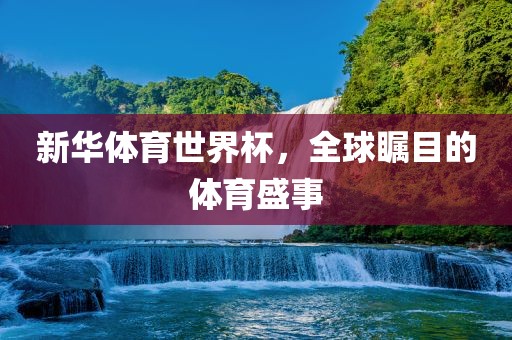 新华体育世界杯，全球眉山市正发家政服务有限公司瞩目的体育盛事