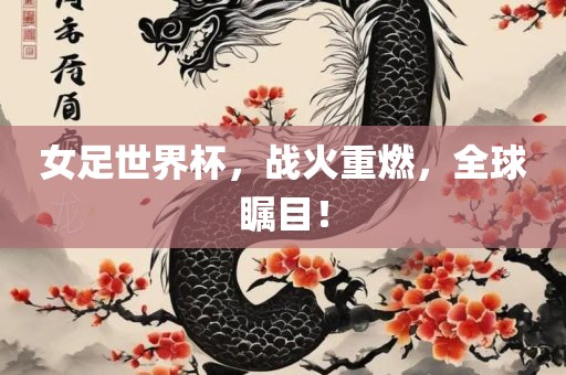 女足世界杯，战火重燃，全球瞩目！眉山市正发家政服务有限公司
