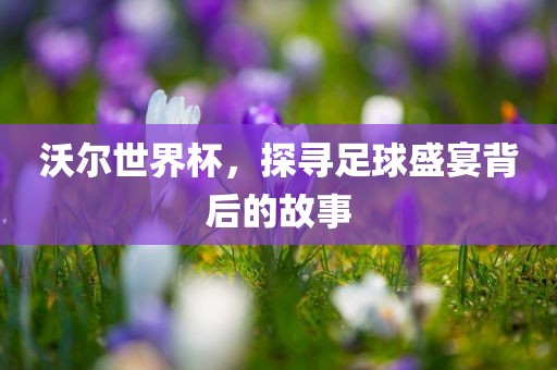 沃尔世界杯，探寻足球眉山市正发家政服务有限公司盛宴背后的故事