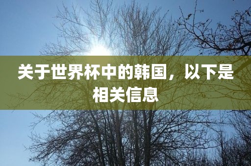 guozhejia 第10页