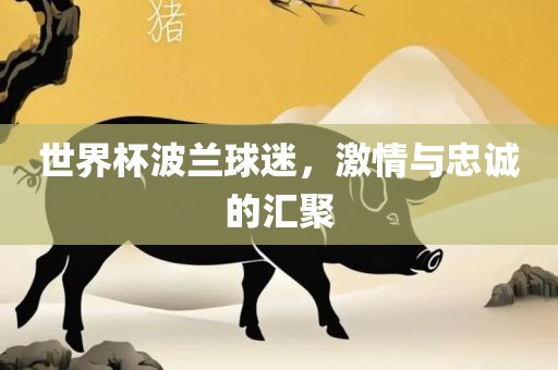 世界杯波兰球迷，激情与忠诚的汇聚眉山市正发家政服务有限公司