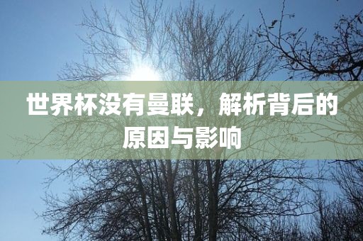 世界杯没有曼联，解析背后的原因与影响眉山市正发家政服务有限公司