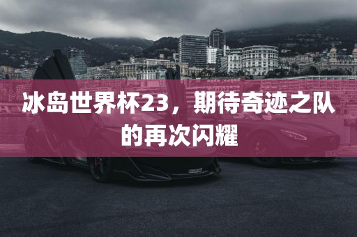 冰岛世界杯23，期待奇迹之队的再次闪耀眉山市正发家政服务有限公司