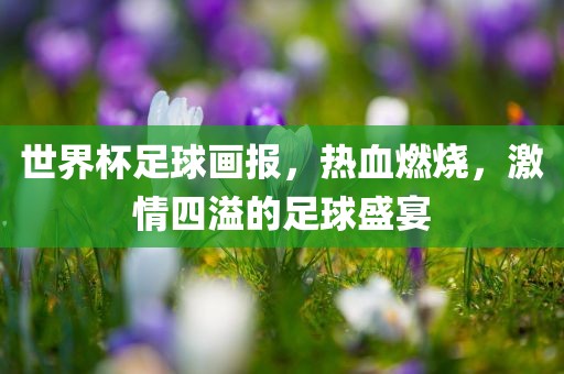 世界杯足球画报，热血燃烧，激情四溢的足球盛宴