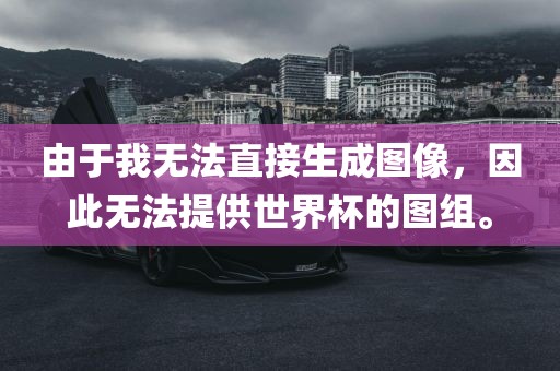 由于我无法直接生成图像，因此无法提供世界杯的图组。眉山市正发家政服务有限公司