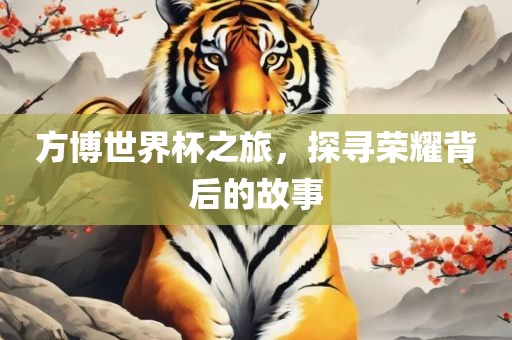 方博世界杯之旅，探寻荣耀背后的故事