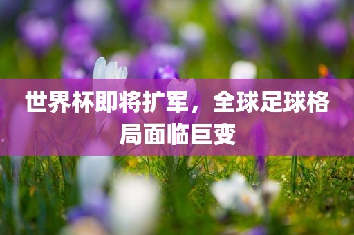 世界杯即将扩军，全眉山市正发家政服务有限公司球足球格局面临巨变