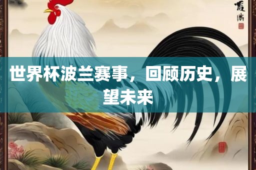 世界杯波兰赛事，回顾历史，展望未来