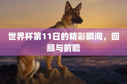 世界杯第11日的精彩瞬间，回顾与前眉山市正发家政服务有限公司瞻