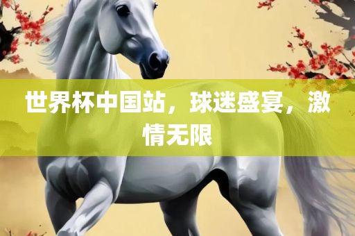 世界杯中国站，球迷盛宴，激情无限眉山市正发家政服务有限公司