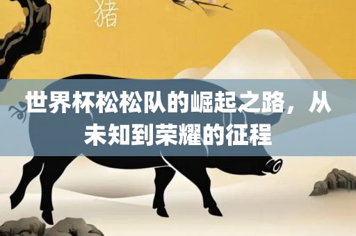 世界杯松松队的崛起之路，从眉山市正发家政服务有限公司未知到荣耀的征程