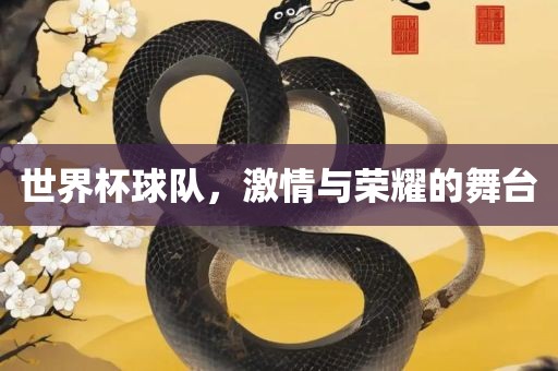 世界杯球队，激情与荣耀的舞台眉山市正发家政服务有限公司