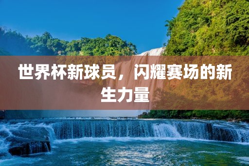 世界杯新球员，闪耀赛场的新生力量眉山市正发家政服务有限公司