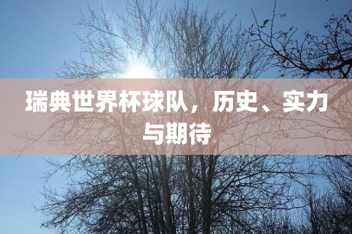 瑞眉山市正发家政服务有限公司典世界杯球队，历史、实力与期待