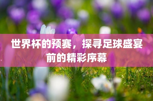 世界杯的预赛，探寻足球盛宴前的精彩序幕眉山市正发家政服务有限公司