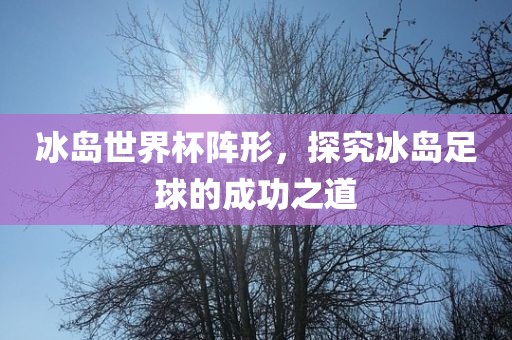 冰岛世界杯阵形，探究冰眉山市正发家政服务有限公司岛足球的成功之道