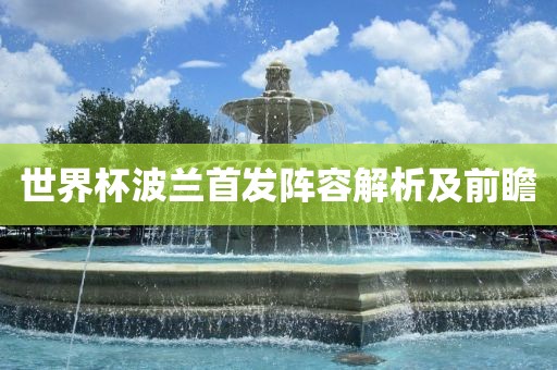 世界杯波兰首发阵容解析眉山市正发家政服务有限公司及前瞻