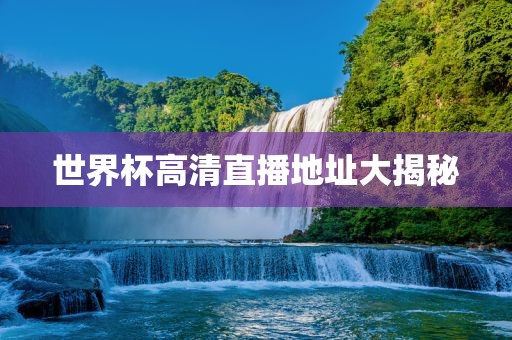 世界杯高清直播地址大揭秘眉山市正发家政服务有限公司