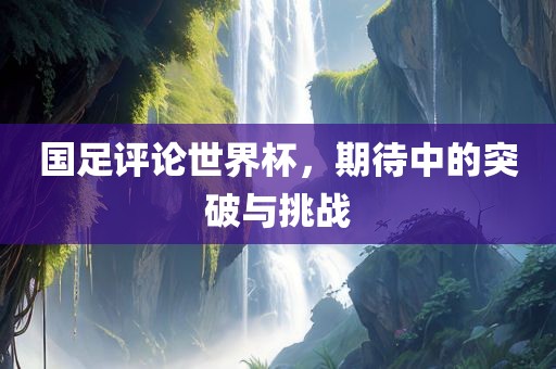 国足评论世界杯，期待中的突破与挑战眉山市正发家政服务有限公司