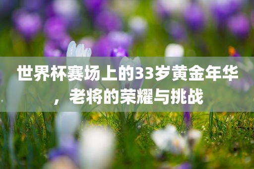 世界杯赛场上的33岁黄金年华，老将的荣眉山市正发家政服务有限公司耀与挑战
