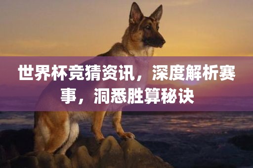 世界杯竞猜资讯，深度解析赛事，洞悉胜算秘诀眉山市正发家政服务有限公司