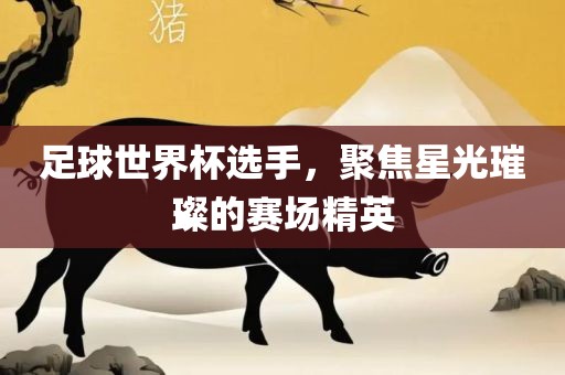 足球世界杯选手，聚焦星光璀璨的赛场精英眉山市正发家政服务有限公司
