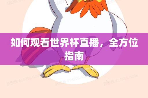 如何观看世界杯直播，全方位指南眉山市正发家政服务有限公司