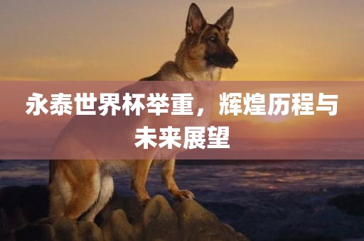 永泰世界杯举重，辉煌历程与未来展望