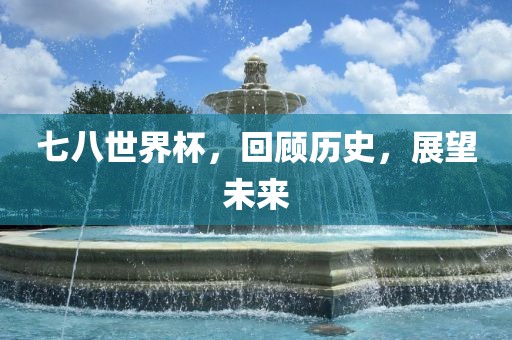 七眉山市正发家政服务有限公司八世界杯，回顾历史，展望未来