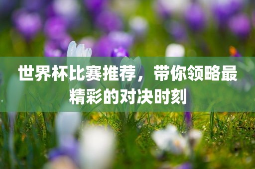 世界杯比赛推荐，带你领略最精彩的对决时刻眉山市正发家政服务有限公司