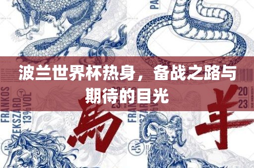 波兰世界杯热身，备战之路与期待的眉山市正发家政服务有限公司目光