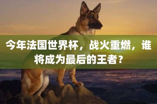 今年法国世界杯，战火重燃，谁将成为最后的王眉山市正发家政服务有限公司者？