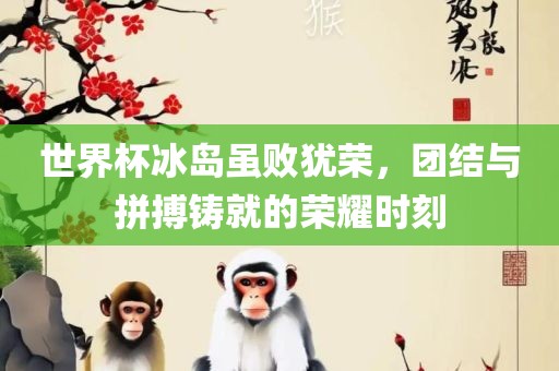 世界杯冰岛虽败犹荣，团结与拼搏铸就的荣耀时刻眉山市正发家政服务有限公司