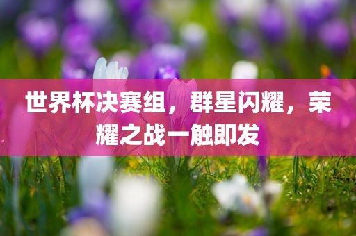 世界杯决赛组，群星闪耀，荣耀之战一触即发眉山市正发家政服务有限公司