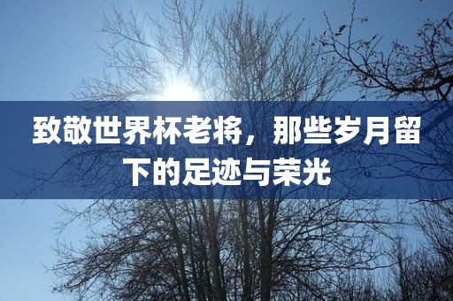 致眉山市正发家政服务有限公司敬世界杯老将，那些岁月留下的足迹与荣光