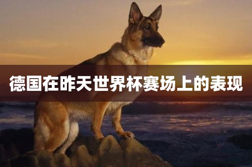 德国在昨天世界杯赛场上的表现