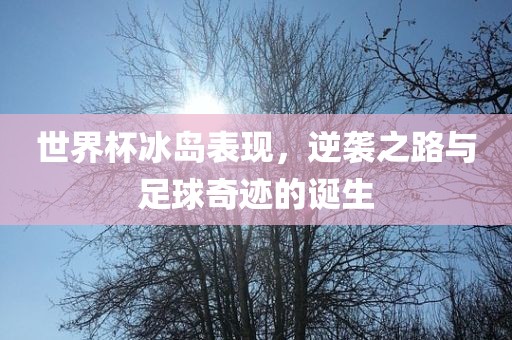 世界杯冰岛表现，逆袭之路与足球奇迹的诞生眉山市正发家政服务有限公司