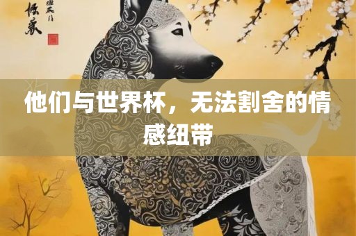 他们与世界杯，无法割舍的情感纽带眉山市正发家政服务有限公司