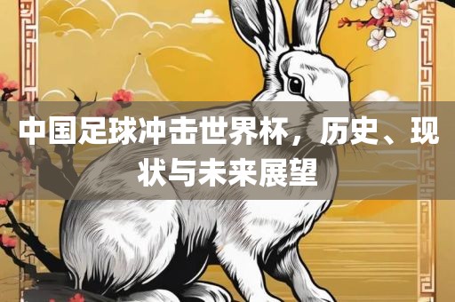 中国足球冲击世界杯，历史、现状与未来展望眉山市正发家政服务有限公司