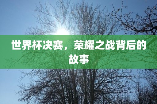 世界杯决赛，眉山市正发家政服务有限公司荣耀之战背后的故事