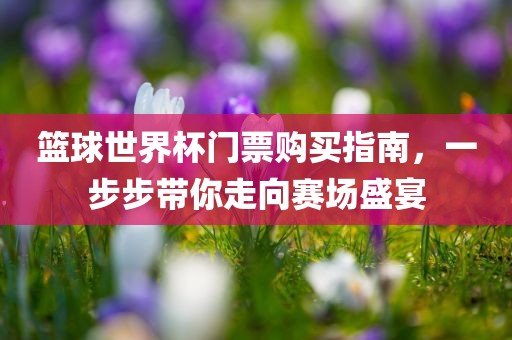 篮球世界杯门票购买指南，一步步带你走向赛场盛宴眉山市正发家政服务有限公司