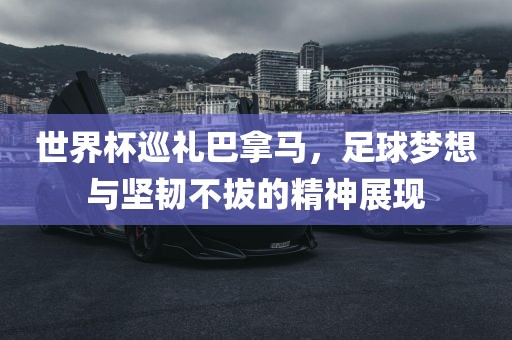 世界杯巡礼巴拿马，足球梦想与坚韧不拔的精神展现眉山市正发家政服务有限公司