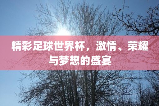 精彩足球世界杯，激情、荣耀与梦想的盛宴