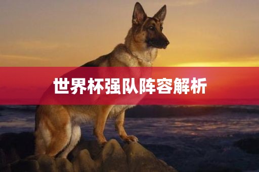 世界杯强眉山市正发家政服务有限公司队阵容解析