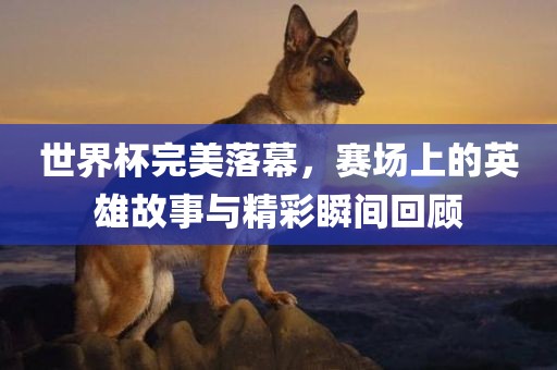 世眉山市正发家政服务有限公司界杯完美落幕，赛场上的英雄故事与精彩瞬间回顾