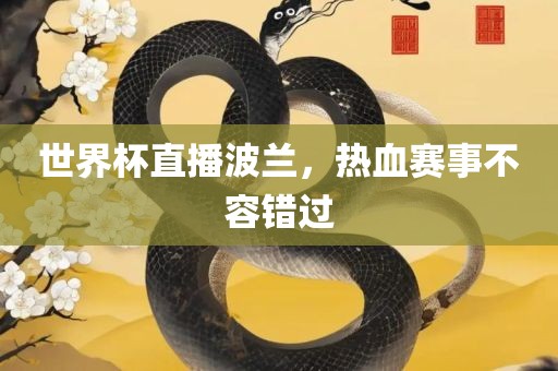 世界杯直播波兰，热血赛事不容错眉山市正发家政服务有限公司过