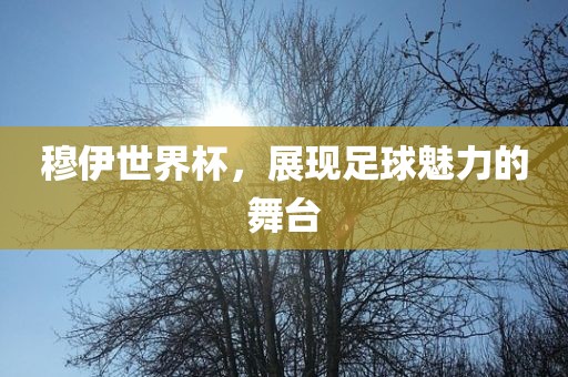 穆伊世界杯，展现足球魅力的舞台眉山市正发家政服务有限公司