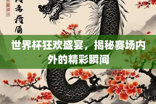 世界杯狂欢盛宴，揭秘赛场内外的精彩瞬间眉山市正发家政服务有限公司